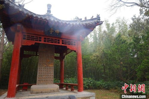 立雪求真与文武双全：教育精神的内核与外延