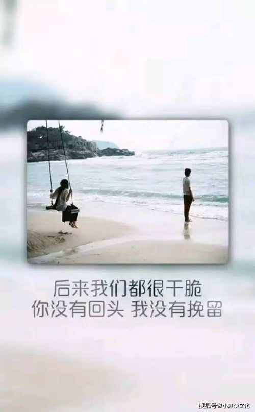 3.1 理性缓冲机制的名词化阐述