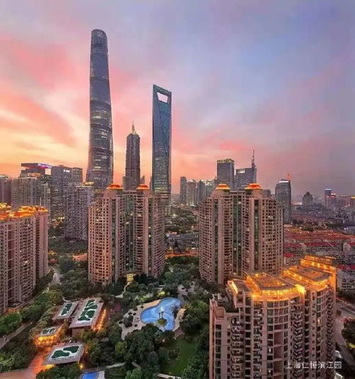 项目概述与基本信息