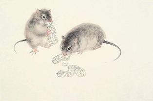 1948年属鼠人2026年事业和感情运势分别如何？