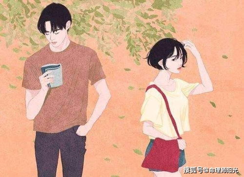 桃花更多更多型：廉贞、 贪狼、太阳太阴