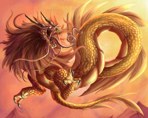 2026年属龙男性全年感情运势详解是什么？