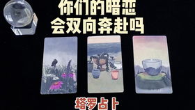 廉贞、 天府双星：共识沟通与关系和谐