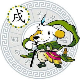 如何根据十二生肖运势大全解读今天的运势？