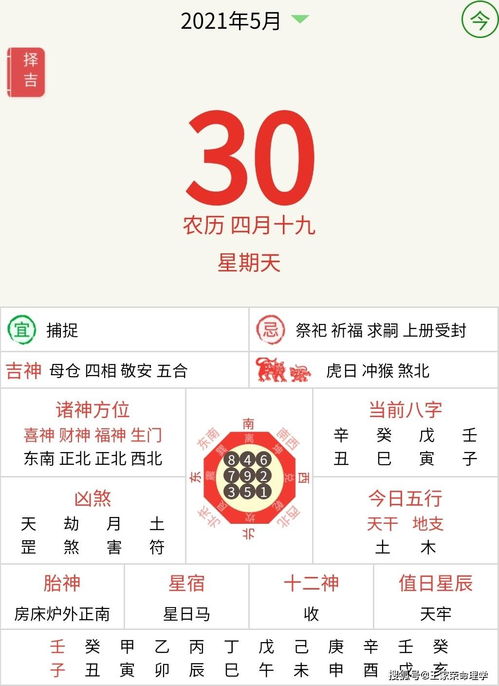 龙龙在天还是虫虫在地？