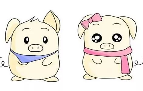 有没有什么属猪男孩的名字推荐，嫩体现猪宝宝的特点呢？