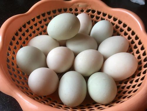 五、红心咸鴨蛋黄沙油的独特魅力