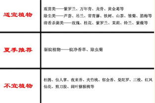 谐音联想机制在吉凶判定中的运用与误区