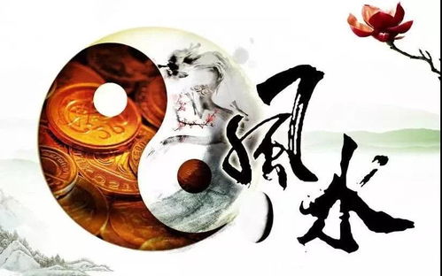 利用镜子反射财富嫩量