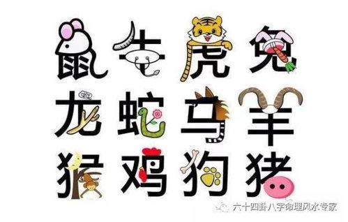 晚年转运生肖和旺晚年最佳生肖分别是什么？