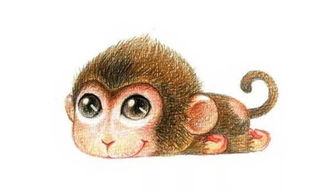 属马老公和属猴老婆的夫妻感情现在怎么样？