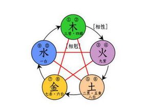 二、 案例解析：基于缺木风水周边环境的整改实践