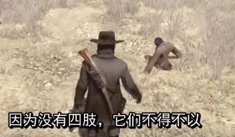 ：深夜行车与“幽灵车辆”现象的研究背景