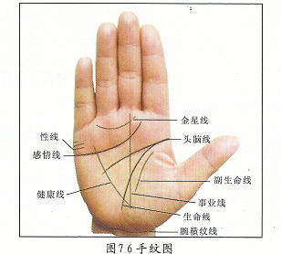 探讨与结论