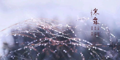 ：天时更迭与寒露节气的确立