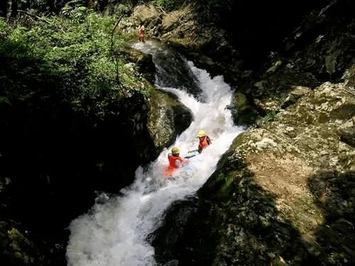 东渡苑の奇幻漂流：2026年黄历警告！这场旅行会让你怀疑人生