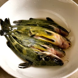 三、 从生肖与风水视角解读“为何而游”之隐喻