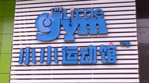 二、主要命理服务机构的专业特色与技艺传承