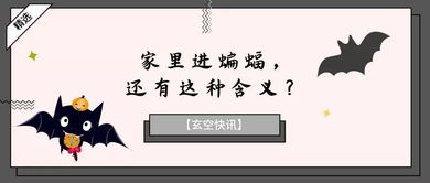 一、 命宫有贪狼星照守的女孩