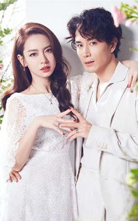 2. 陈妍希与陈晓：一柔一刚