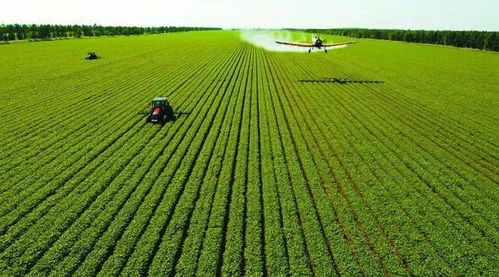 风水视角下的土地利用与粮食丰收