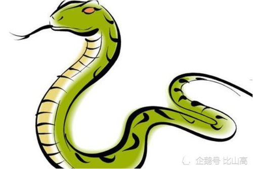 1977年属蛇2026年运势如何？蛇年男性2026年运势会有哪些变化？