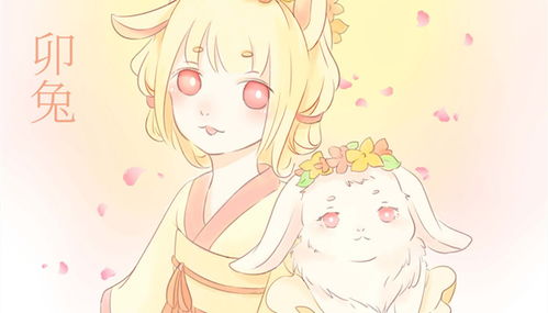 87年属兔的人一生感情如何，是否会有两段婚姻经历？