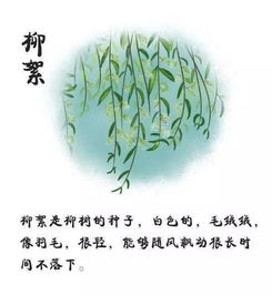 命格起伏不定，这究竟预示着人生将经历怎样的起起伏伏？