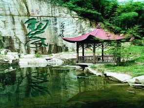 下渚湖：湿地生态的天然课堂