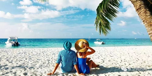 属羊的：远离病人与高塔