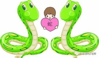 属虎人2026年运势如何？属蛇者2026年佩戴何饰物有何寓意？