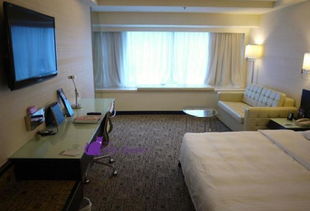 深圳岗厦旅游住宿性价比高房源大揭秘！