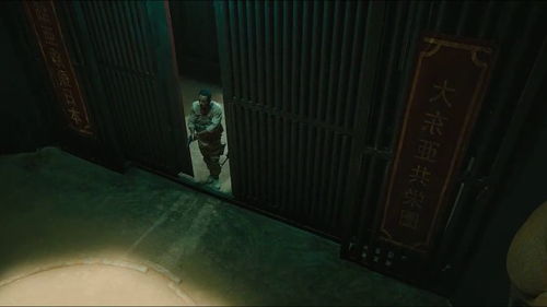 一、  惊悚之夜：猫与衣柜的诡异邂逅