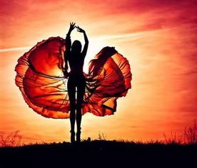 三、  策略性逢迎与真诚敬意的辩证关系