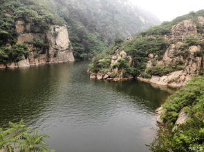 餐饮：吃饱了吗？算你走运