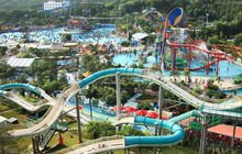 性Neng考量：防滑与美观并重