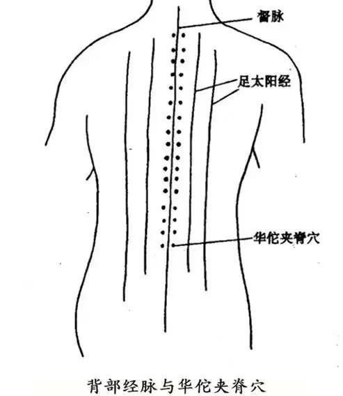 5. 背部的天线（尾椎骨附近的痣）