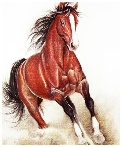 属马女生什么生肖旺财运？生肖马女生事业运是什么意思？