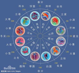 未时 (13:00 - 15:00)
