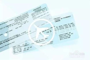 陈词(终于要结束了感动哭)