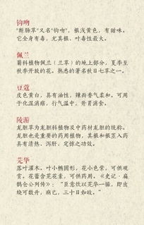 ：中药名与婴儿命名之文化底蕴交叉探究