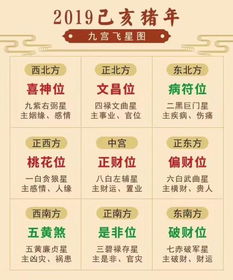 B3．**專業風水命理網站資料彙總及案例探討**