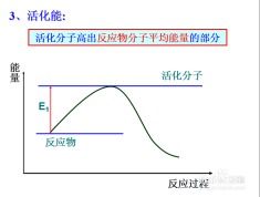 初期反应：运势提升的渐进式显现