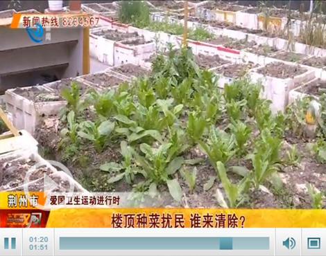 在楼上种植蔬菜会对住宅风水产生不良影响吗？