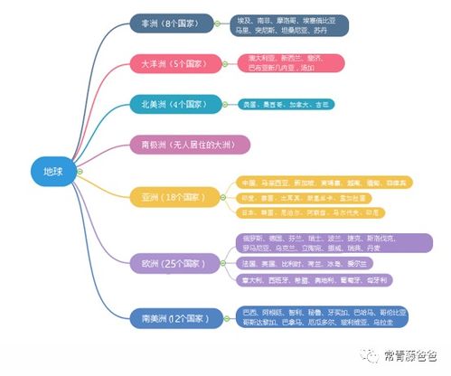 实用性分析：从理论到实践的桥梁