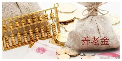 四、 经济独立：退休金及资产配置保证晚年安逸