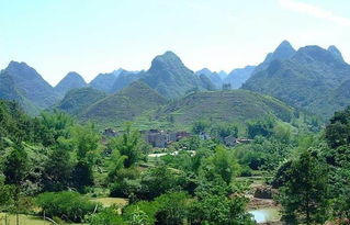 阴宅风水周围摆放树木对风水有影响吗？