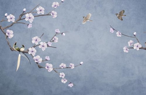 癸卯日五行如何搭配衣物？壬寅日遇癸卯时如何改穿？