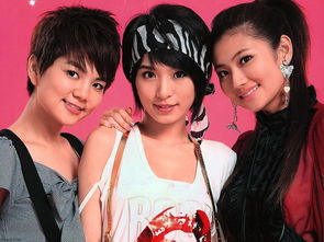 八字天地鸳鸯合，天地鸳鸯组合详解是什么？