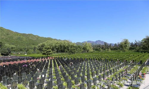 墓地风水能福泽哪一代人？白鸽栖息是否改运？